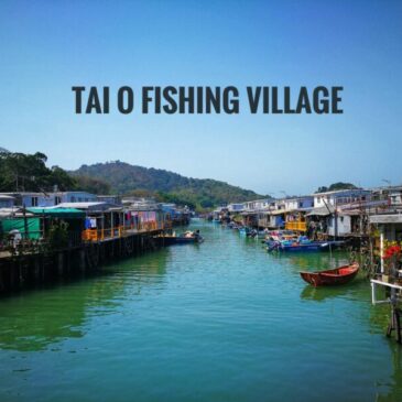 Day Trip to Tai O itinerary: A Travel Guide Blog