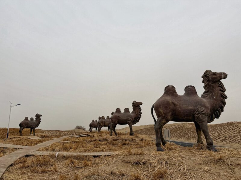 Taklamakan Desert Pit Stop