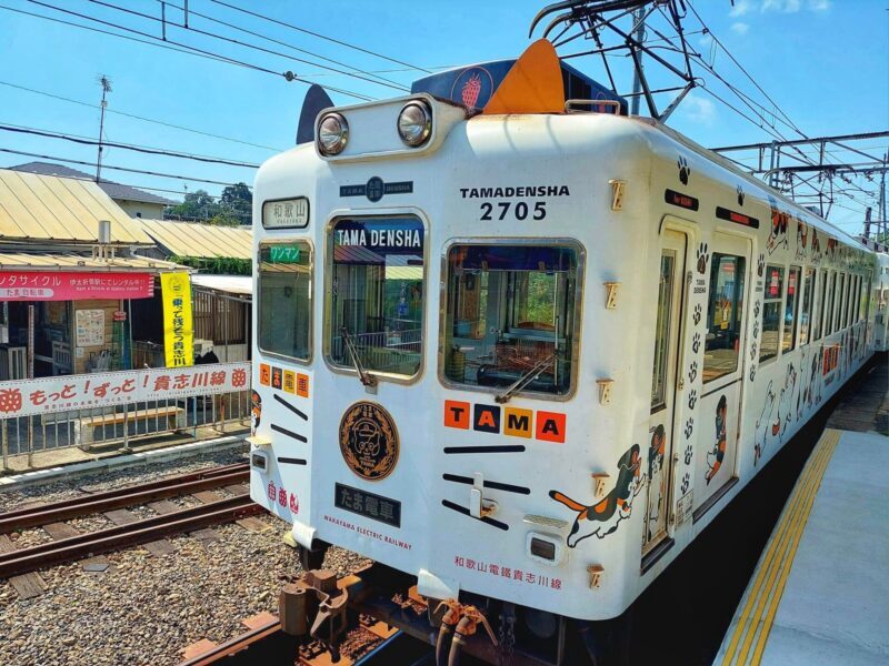 Tama Train or Tama Densha