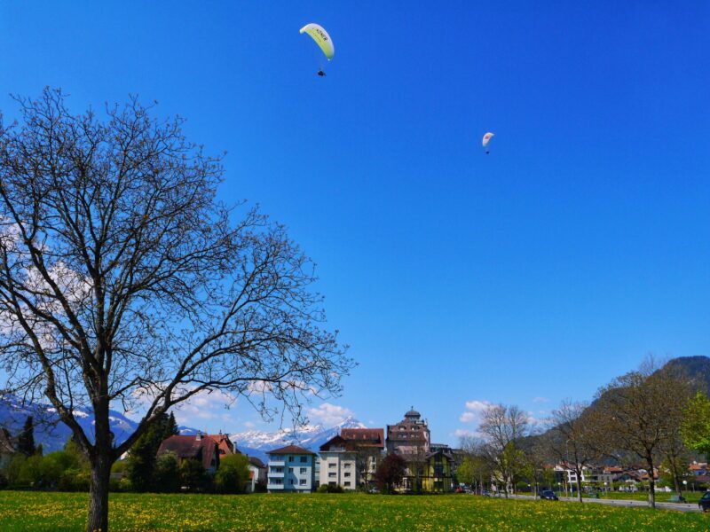 Tandem Paragliding from Interlaken