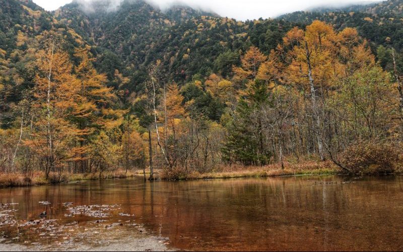 Tashiro Pond (田代池)