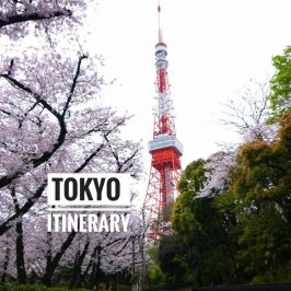 Tokyo Itinerary