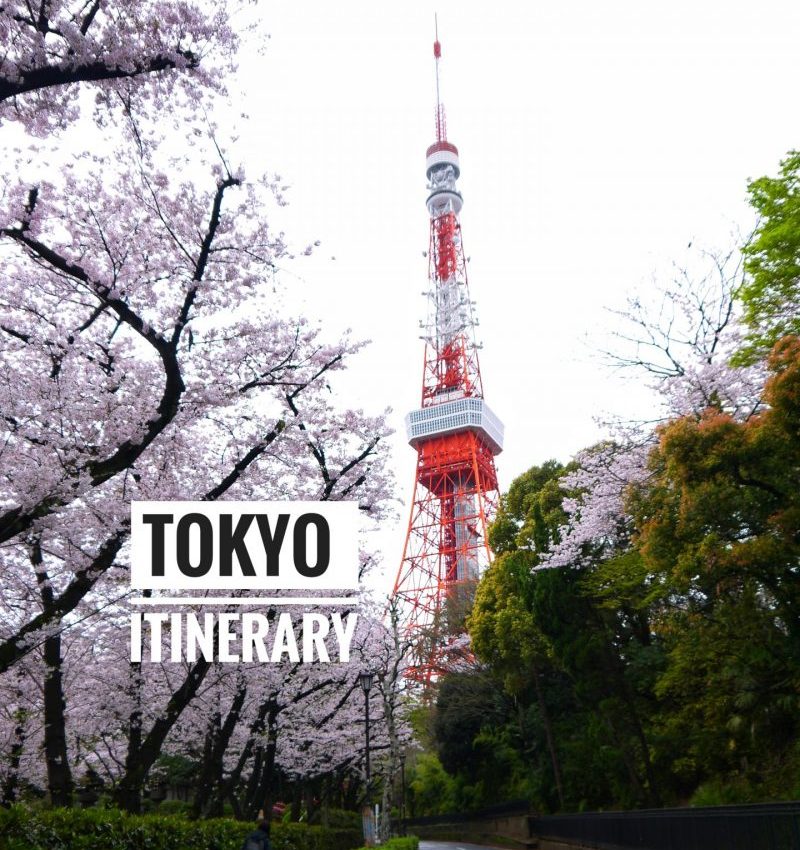 Tokyo Itinerary