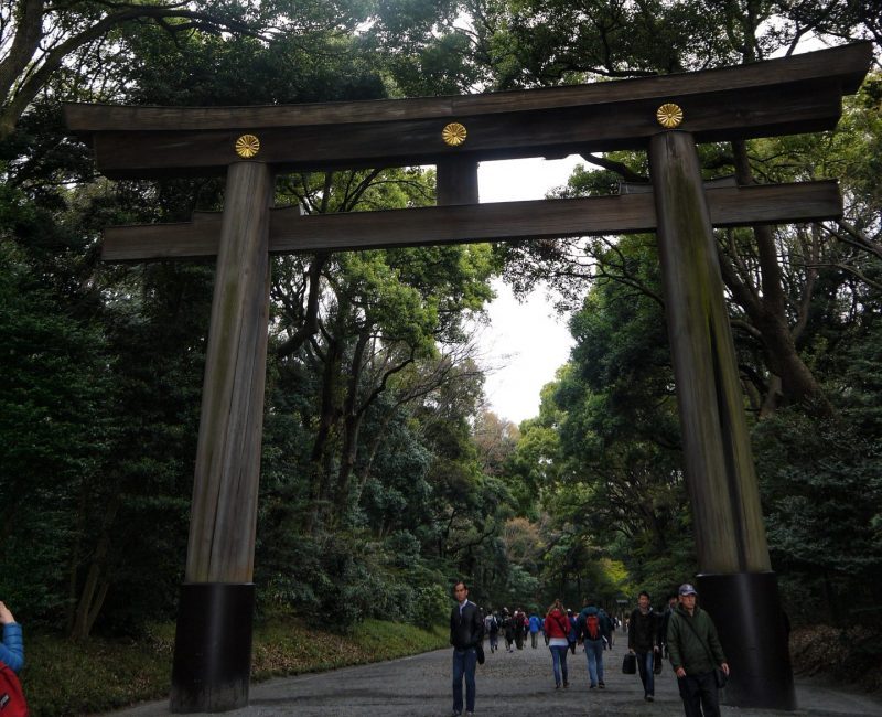 Torri Gate in Meiji Shrine