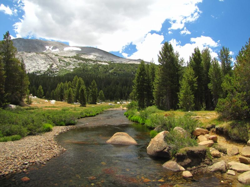 Tuolumne Meadows