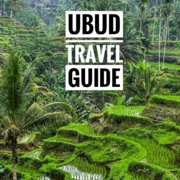 Things To Do in Ubud itinerary: A Travel Guide Blog