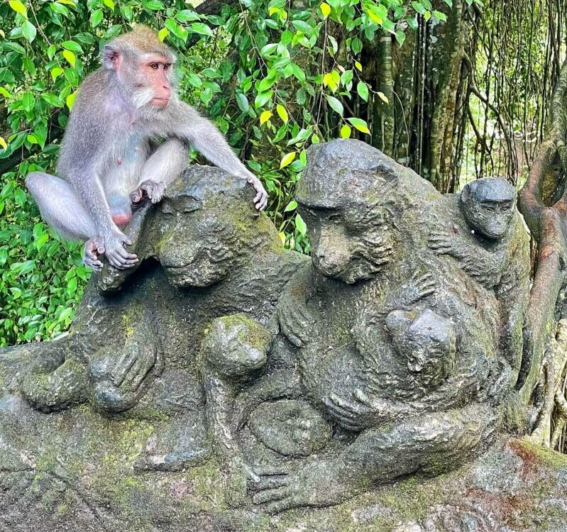 Ubud Monkey Forest Sanctuary