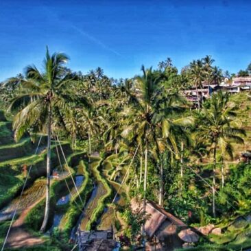 Ubud Travel itinerary