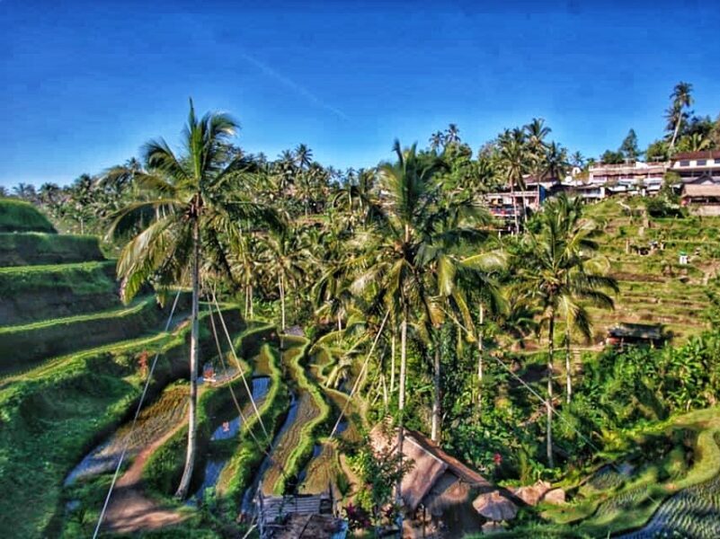 Ubud Travel itinerary