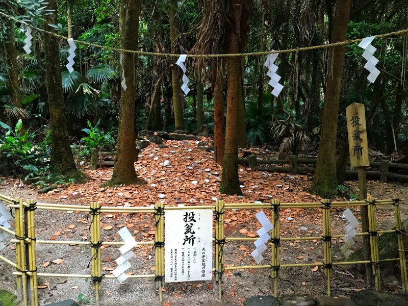 Unique Way To Pray at Aoshima Shrine