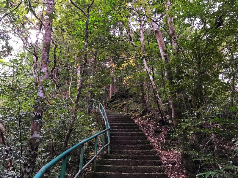 Uphill steep in Kyushu Nature Trail