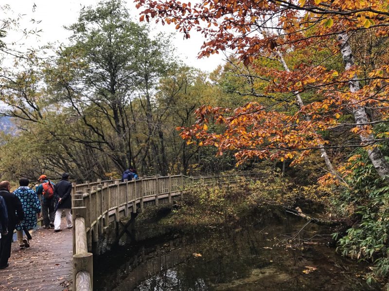 View from Taisho Pond To Taishiro Pond