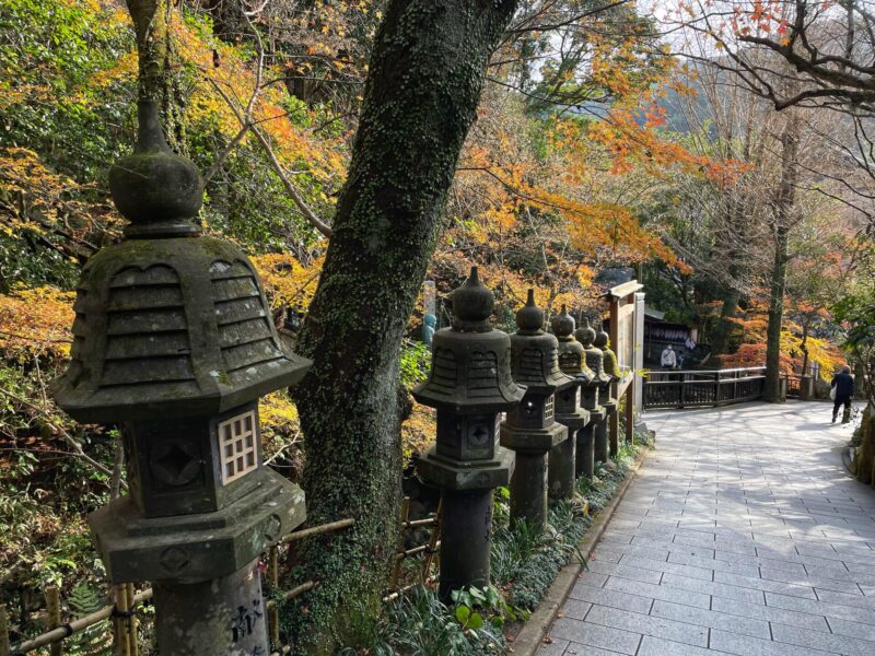 Visit Nanzoin Temple