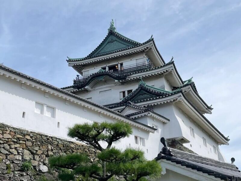 Wakayama Castle