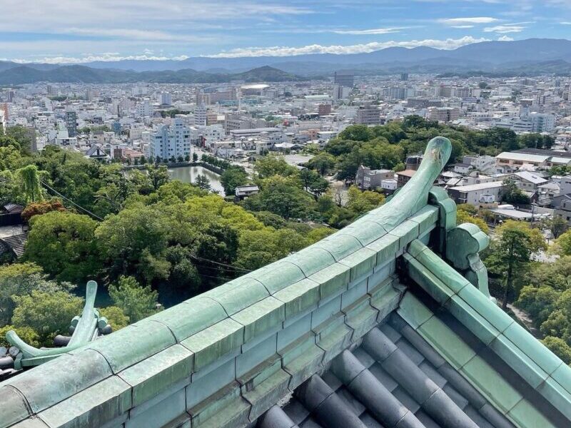 Wakayama City Arial view