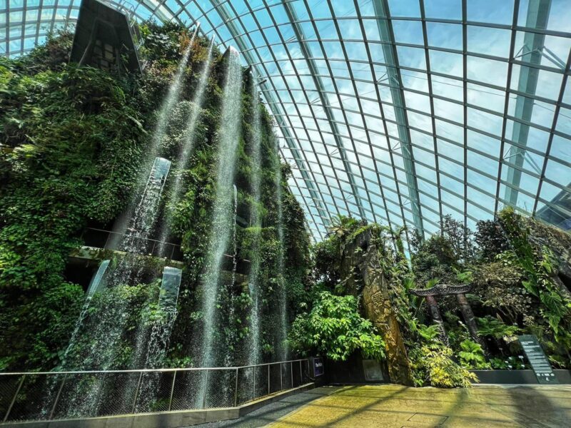 Waterfall at Cloud Forest