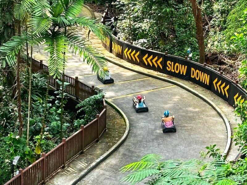 What To Do in Sentosa Island - Skyline Luge