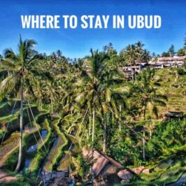 Where To Stay in Ubud