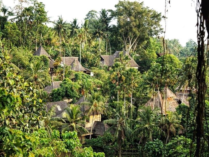 Where To Stay in Ubud