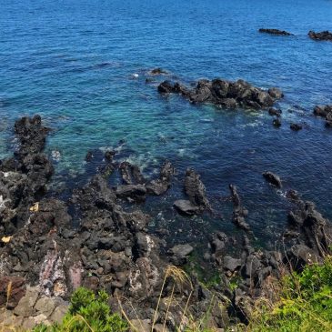 Jeju Road Trip Itinerary Day 1: Jeju City Exploration