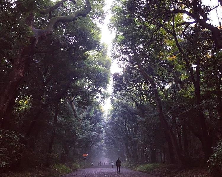 Yoyogi Park - Meiji Shrine Itinerary