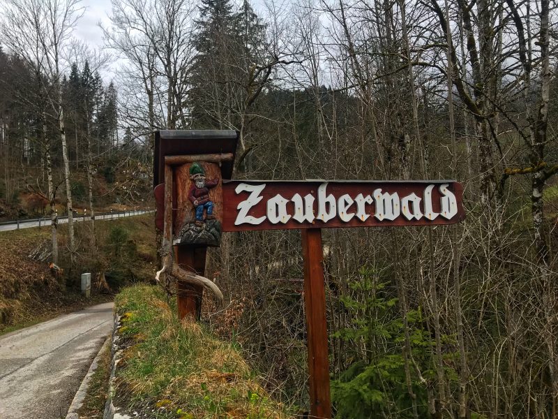 Magical Forest, Zauberwald